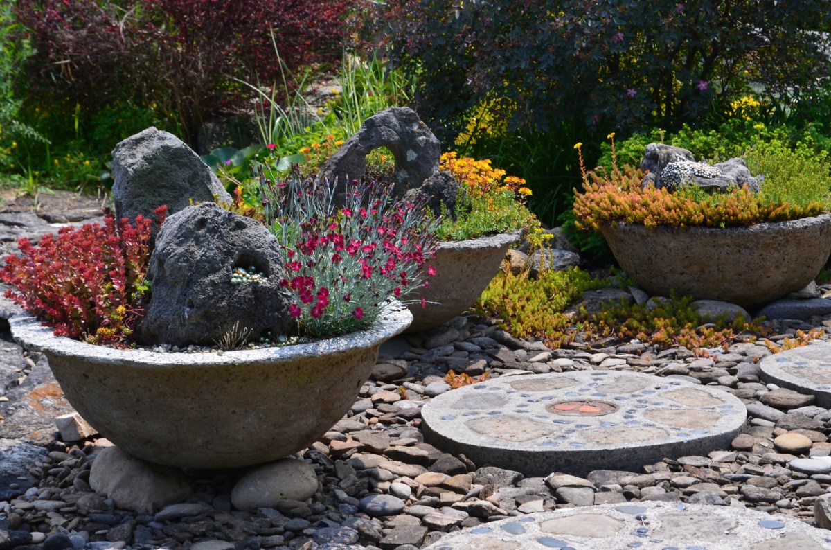 Container filled with unusually shaped rocks and plants