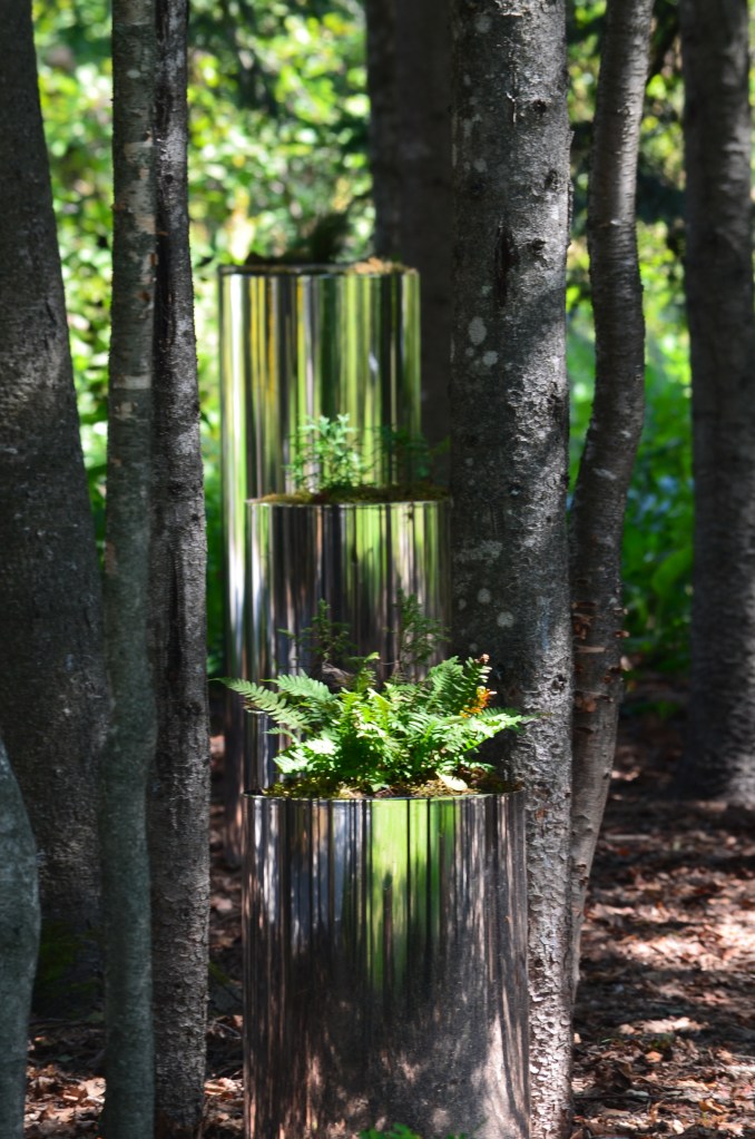 Cylindrical reflective containers filled with forest plants in a grove.