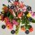 Plant for a container recipe featuring aura