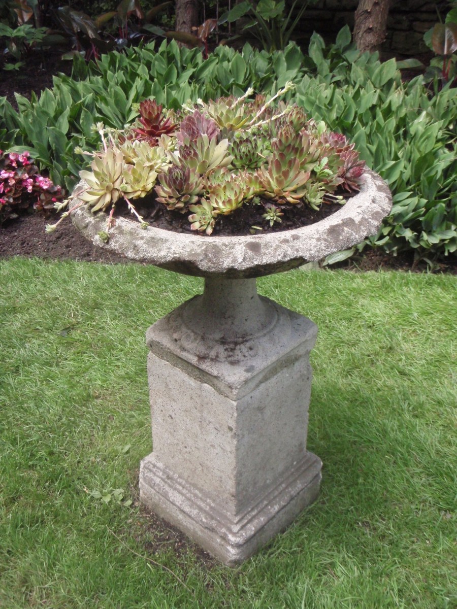 A traditional bird bath is filled with succulents