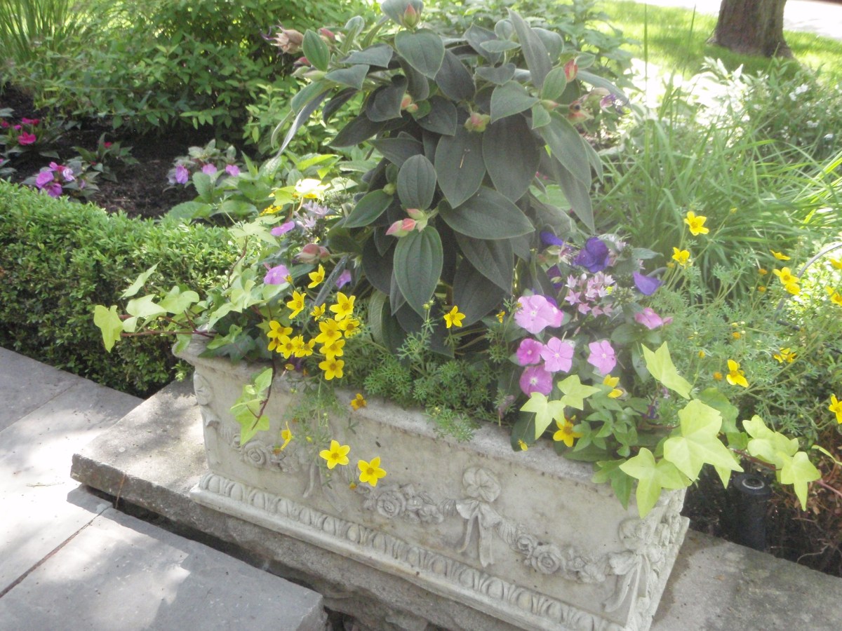 A classic rectangular container filled with plants.