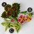 A bright, fast growing container recipe with calibrachoa