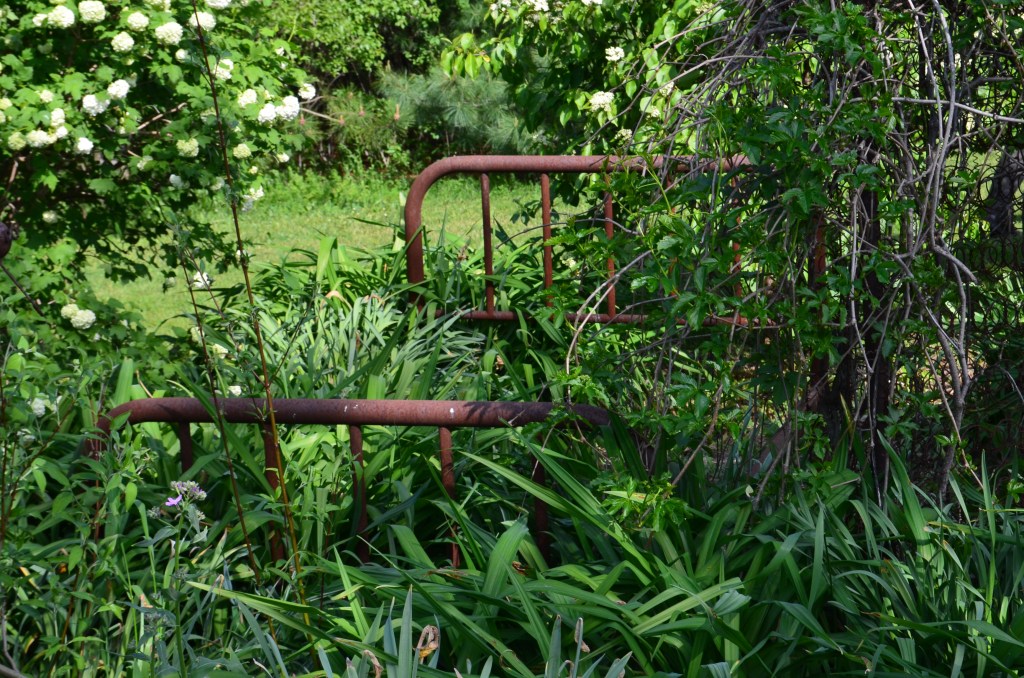 An old metal bed frame is used as found art in a garden bed.