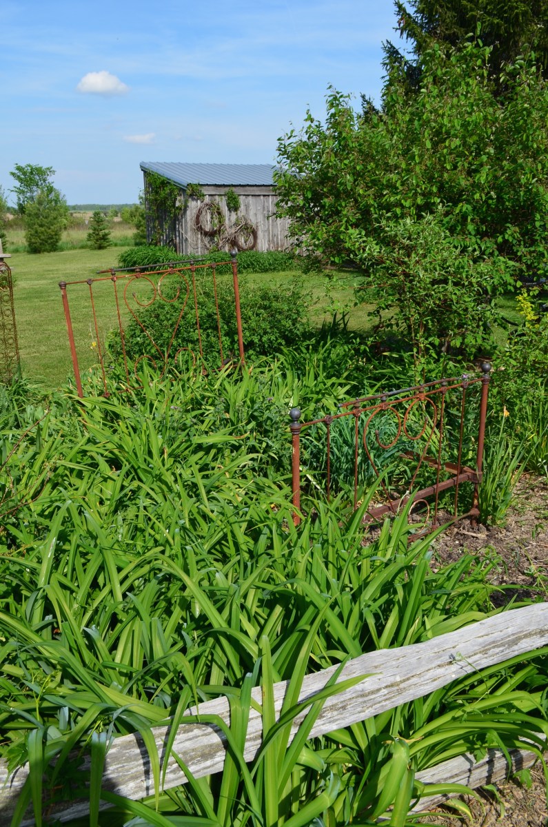 A metal bed frame adds interest to a flower bed in a garden in farm country.
