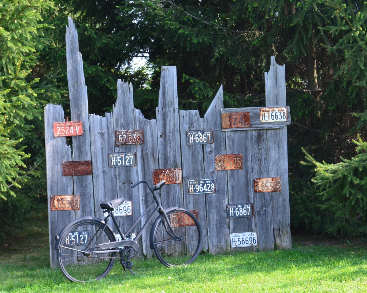 Old boards create a display for license plates in a garden.