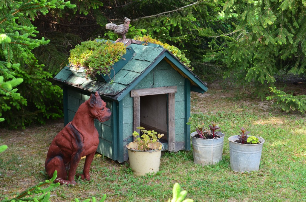 The roof of a dog house is finished with plants.