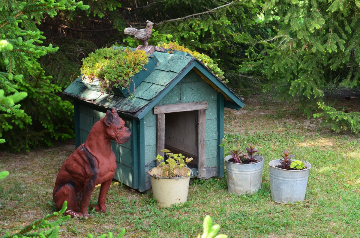 The roof of a dog house is finished with plants.