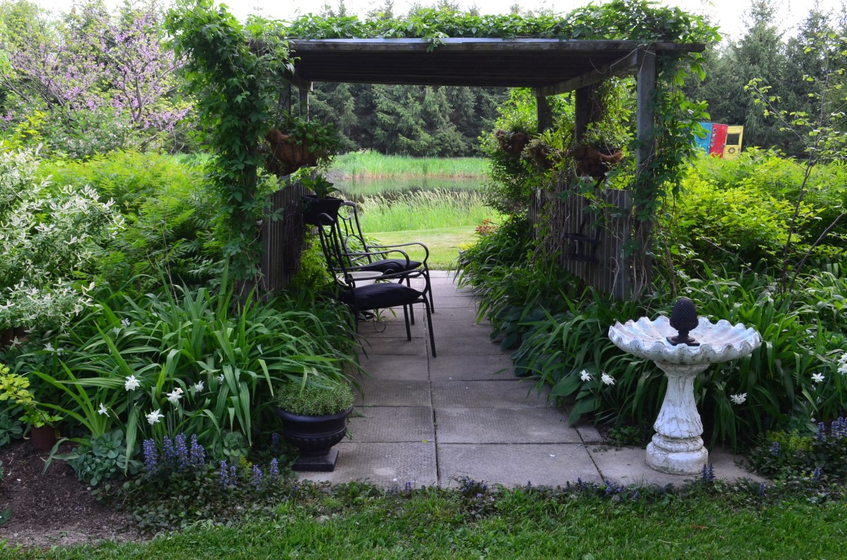 An outdoor seating area within a pergola.