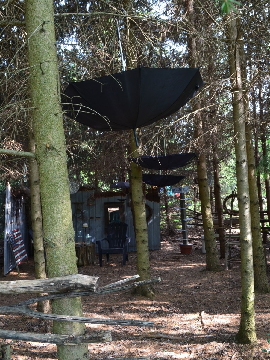 Black umbrellas are suspended within a conifer grove.