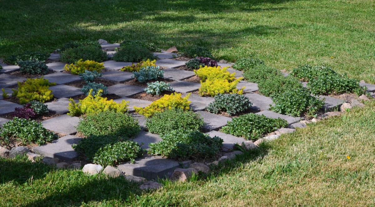 A checkerboard effect is made from stepping stones and succulents.