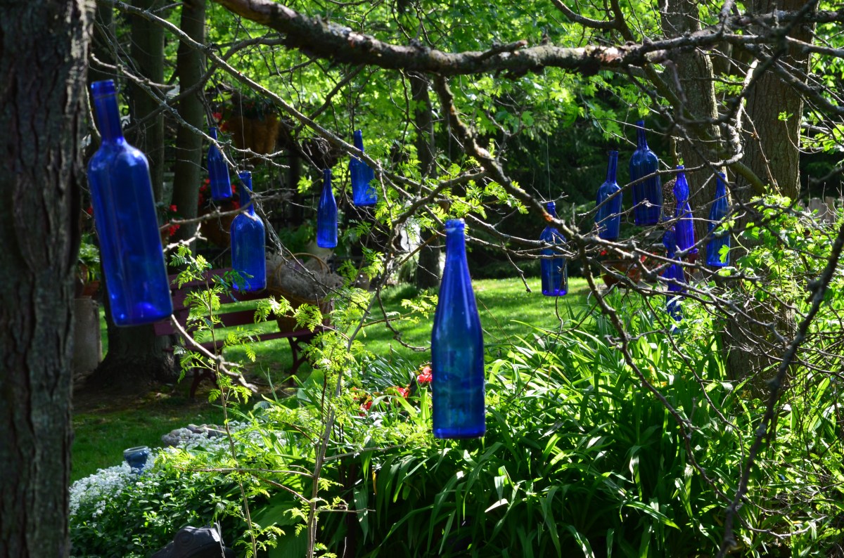 Blue glass bottles hang from branches in a garden glen.
