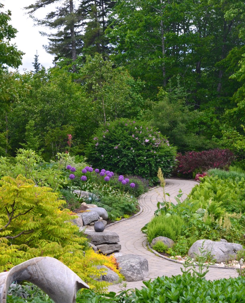 A woodland garden setting with rocks and a pathway