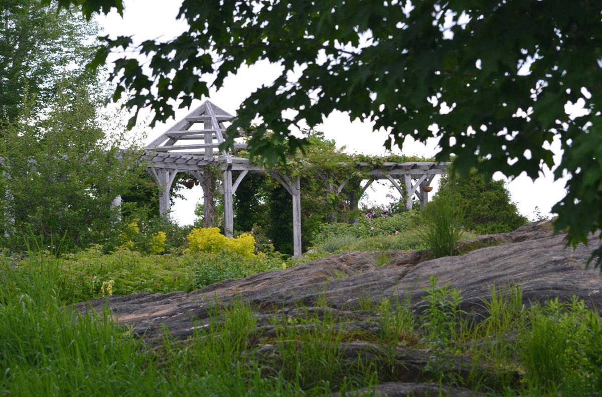 A pergola stands atop a rocky hillside in a woodland garden.
