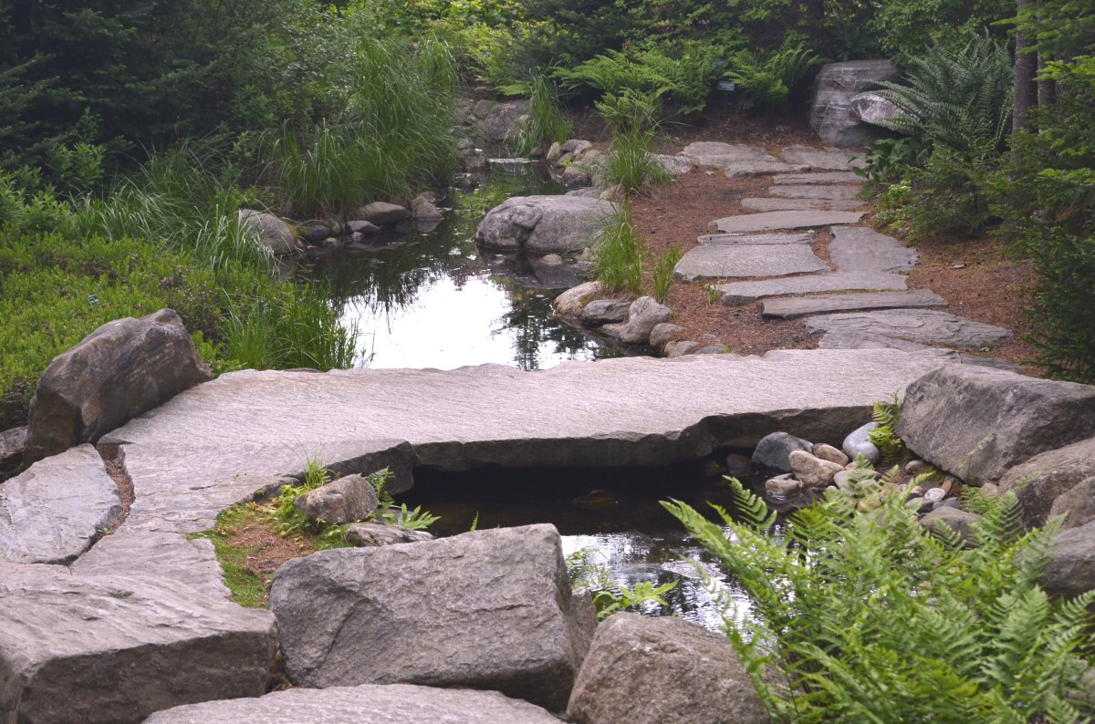 A slate foot bridge spans a small water feature in a woodland garden