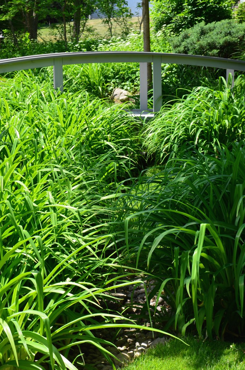 A dry creek is surrounded by day lilies and crossed by a white bridge