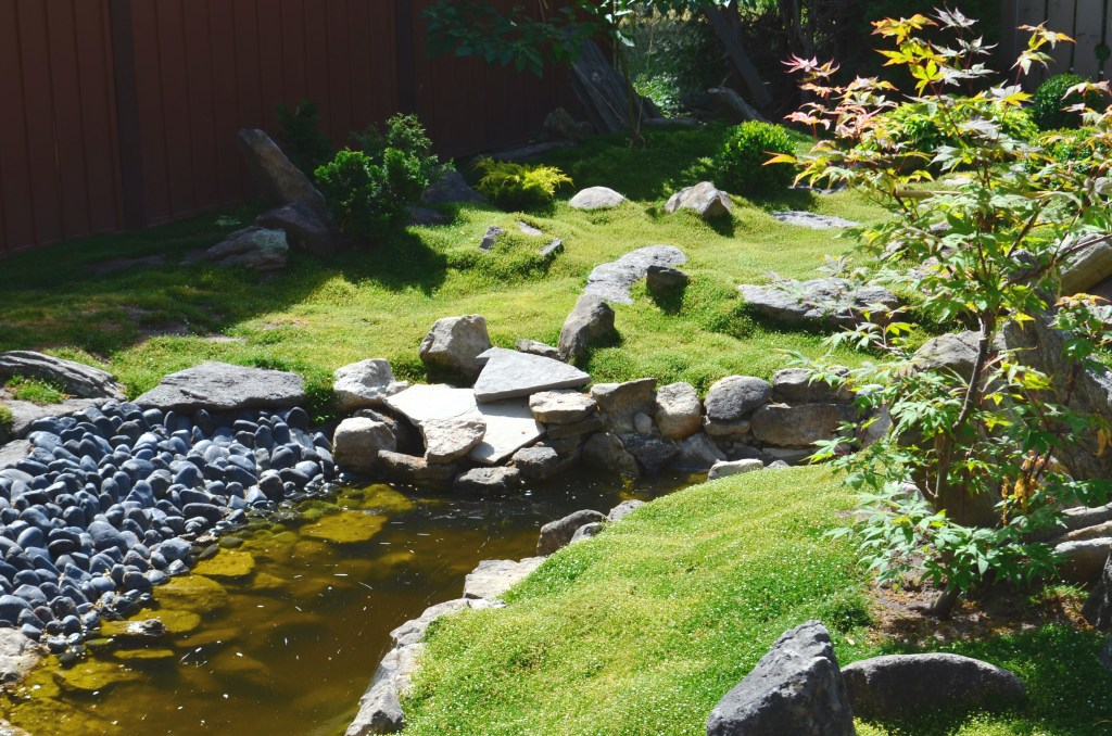 A zen garden with Irish moss and rocks