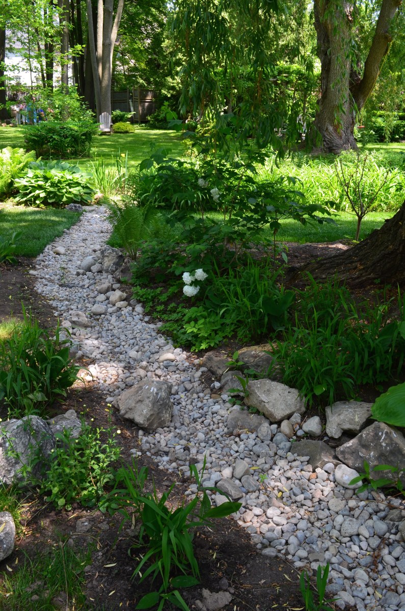 A dry creek in a shady garden