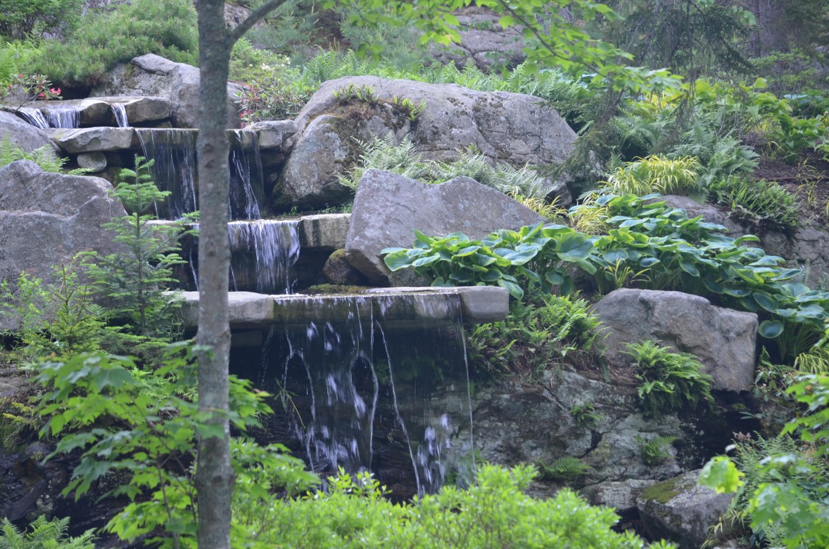 Slabs of natural rock feature in a woodland garden setting.