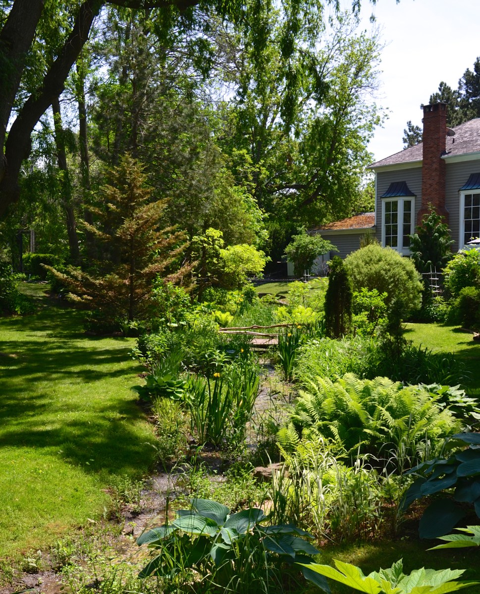 A small creek runs through a common area surrounded by homes with small gardens.