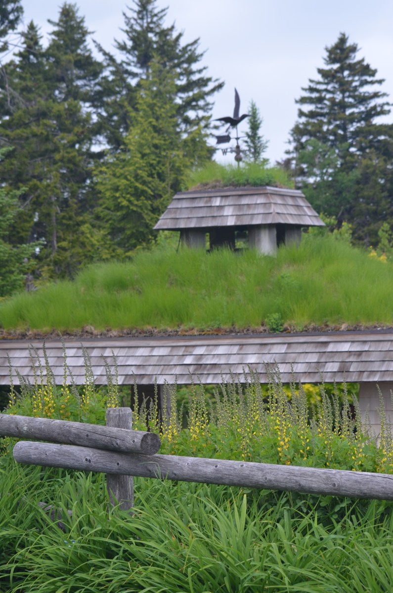 A public building has a living roof covered in grass.