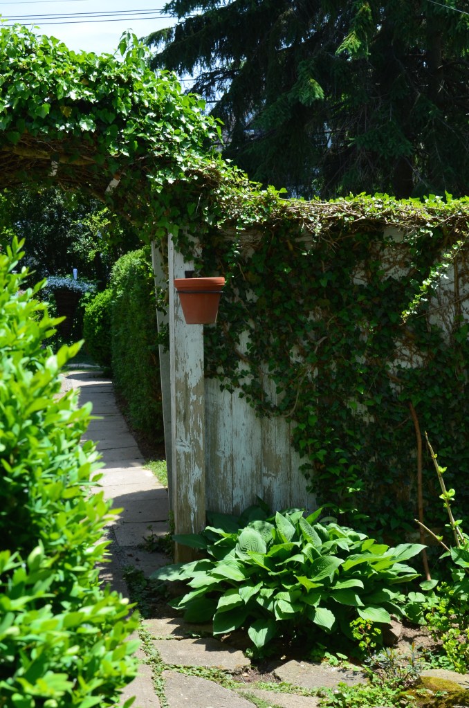 Walls add privacy, height and and sense of mystery in a small garden.