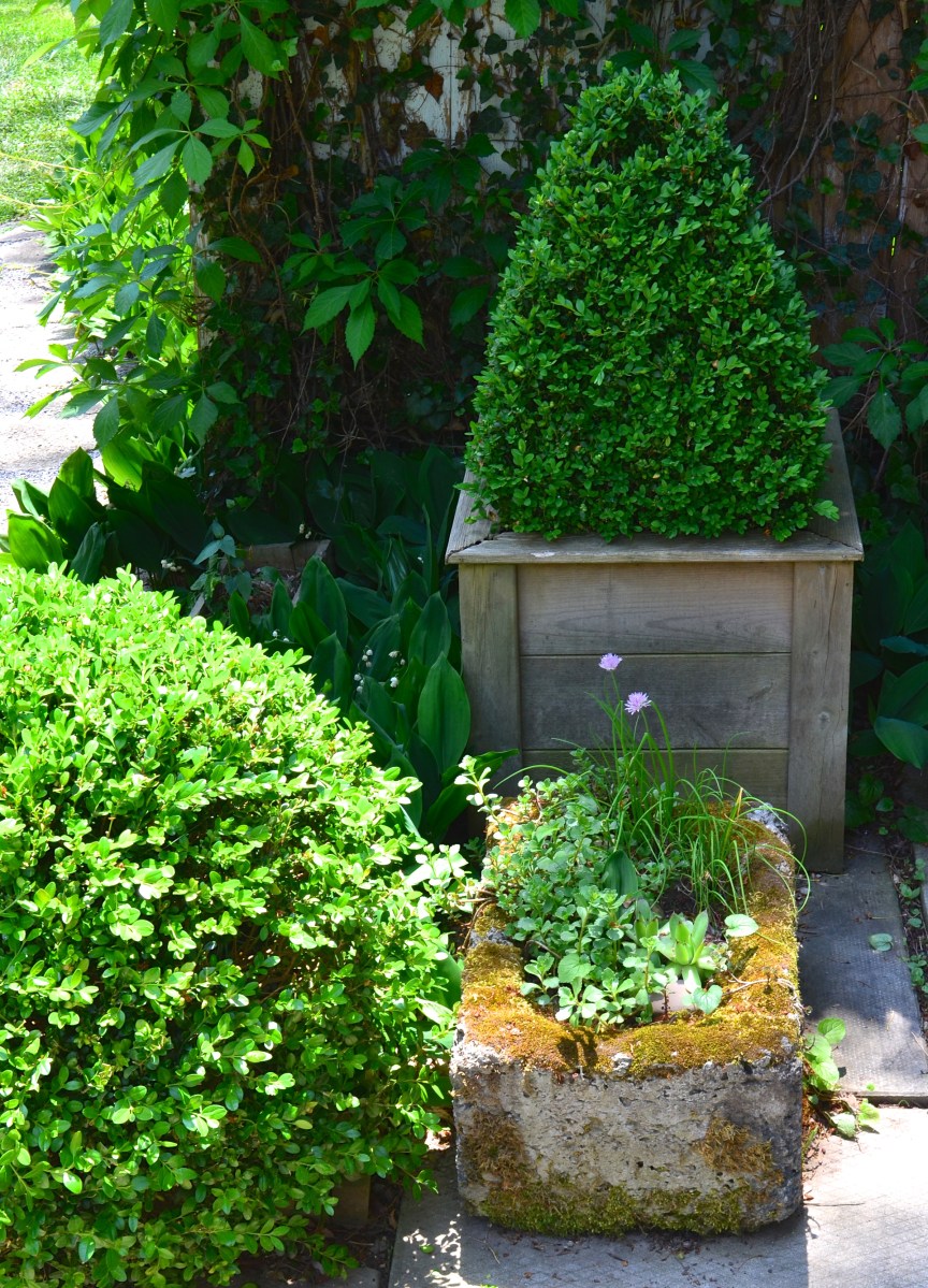 Plant containers combine rustic and formal styles in a small garden.