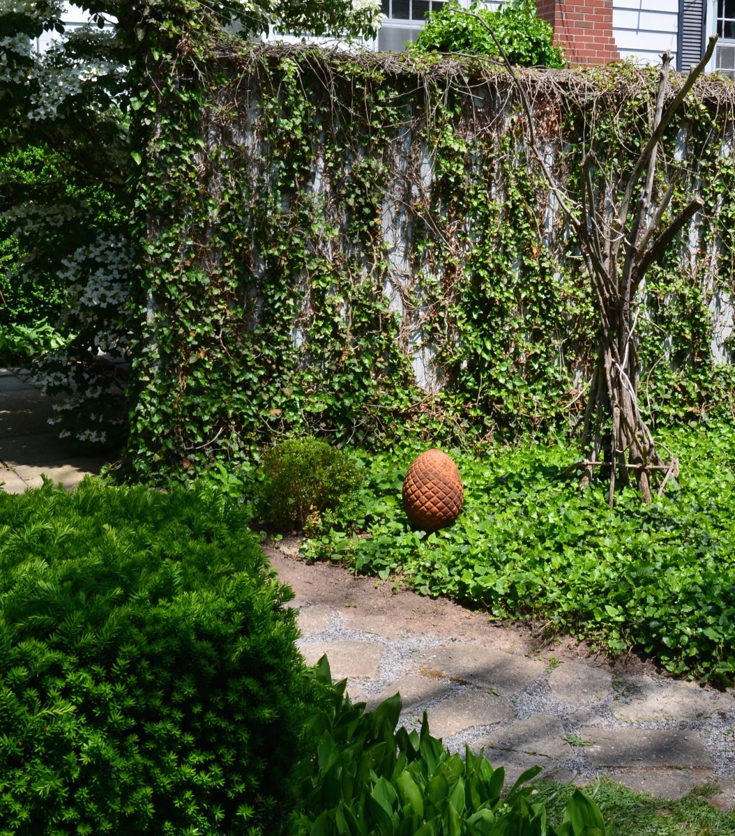 A small garden features several outdoor walls which make it appear bigger.