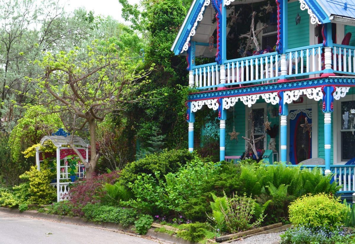 A small front garden features a lush planting