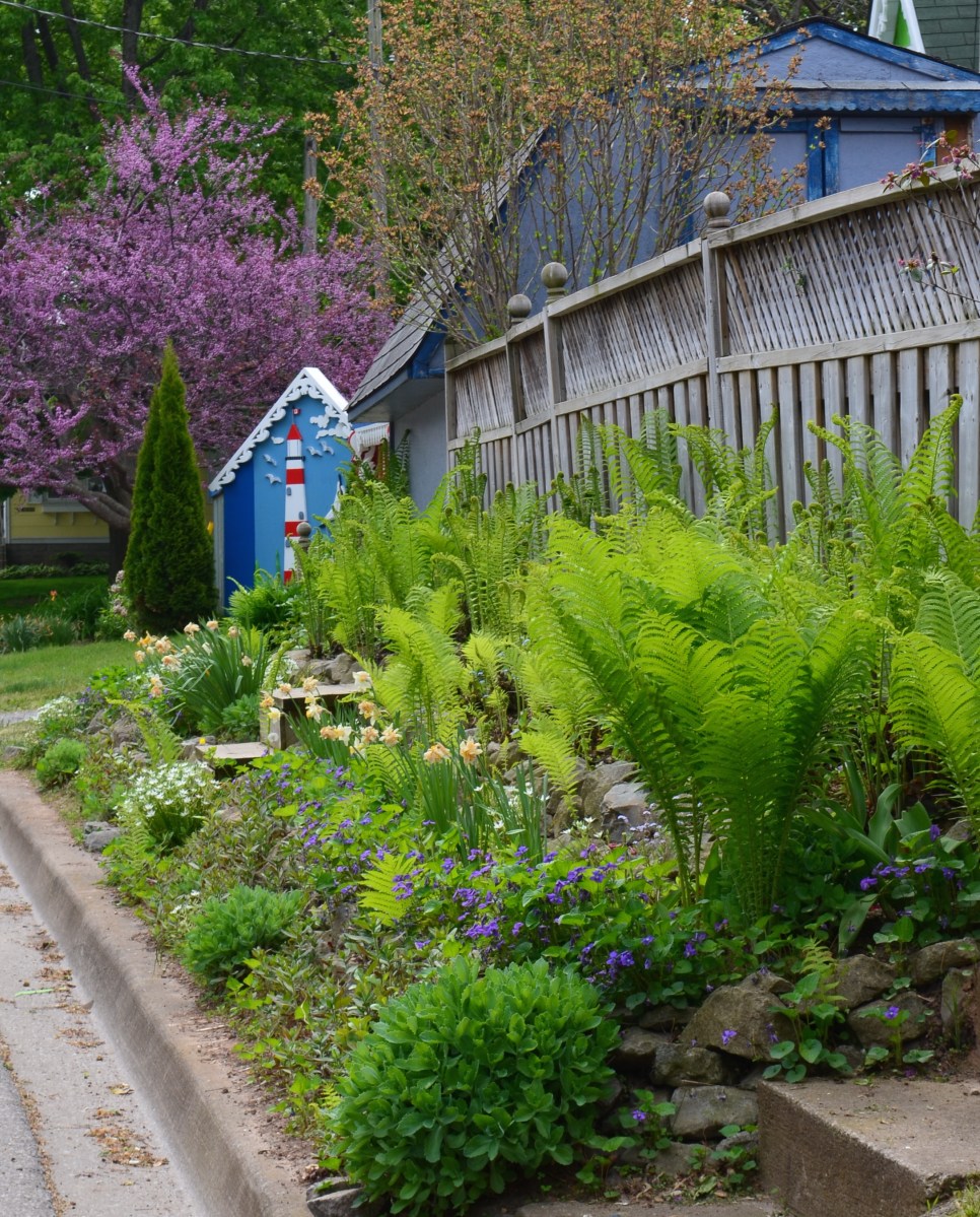 A strip garden along a fence features eye-catching perennials.