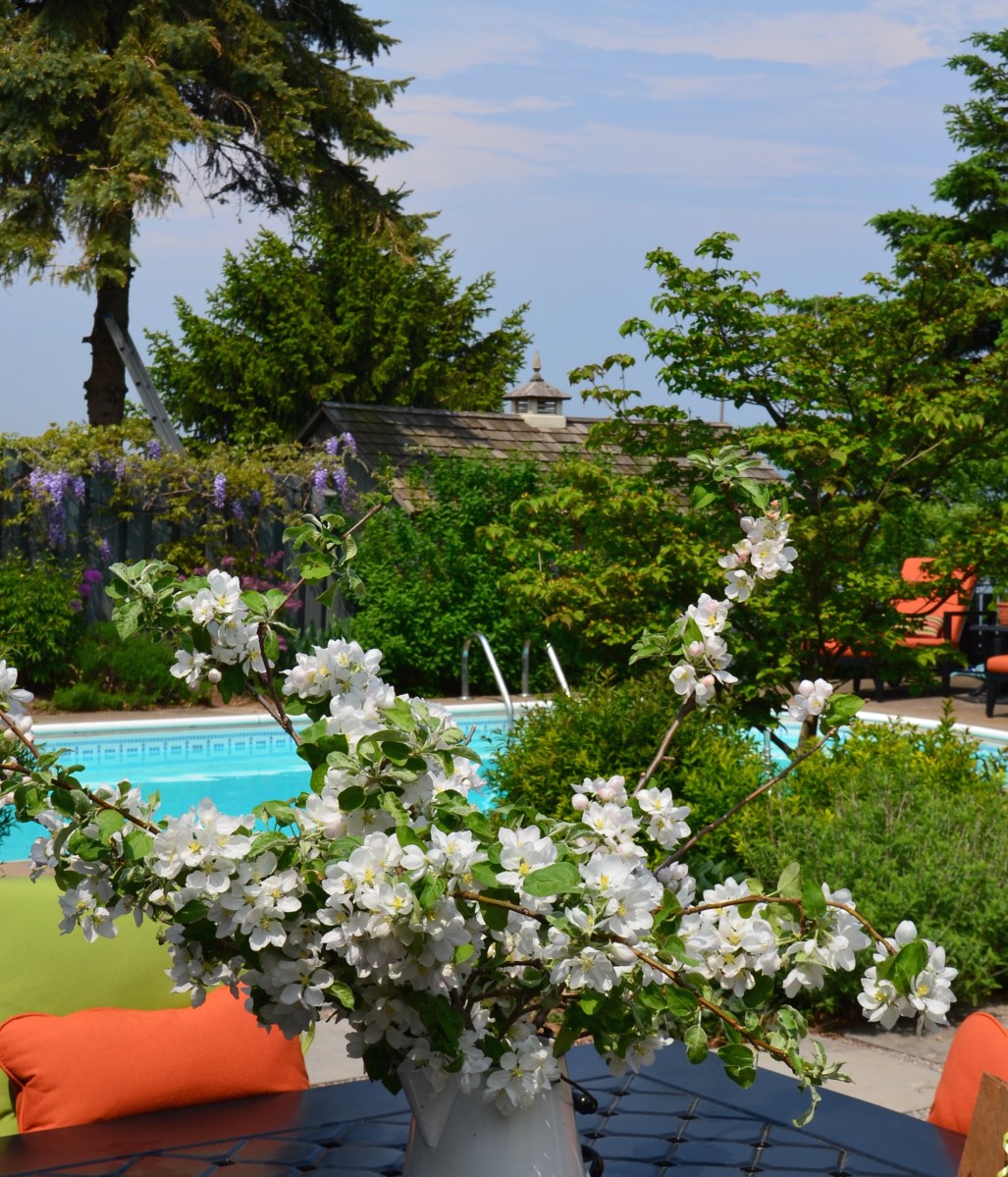 Overlooking a bouquet of apple blossoms, you see a swimming pool.