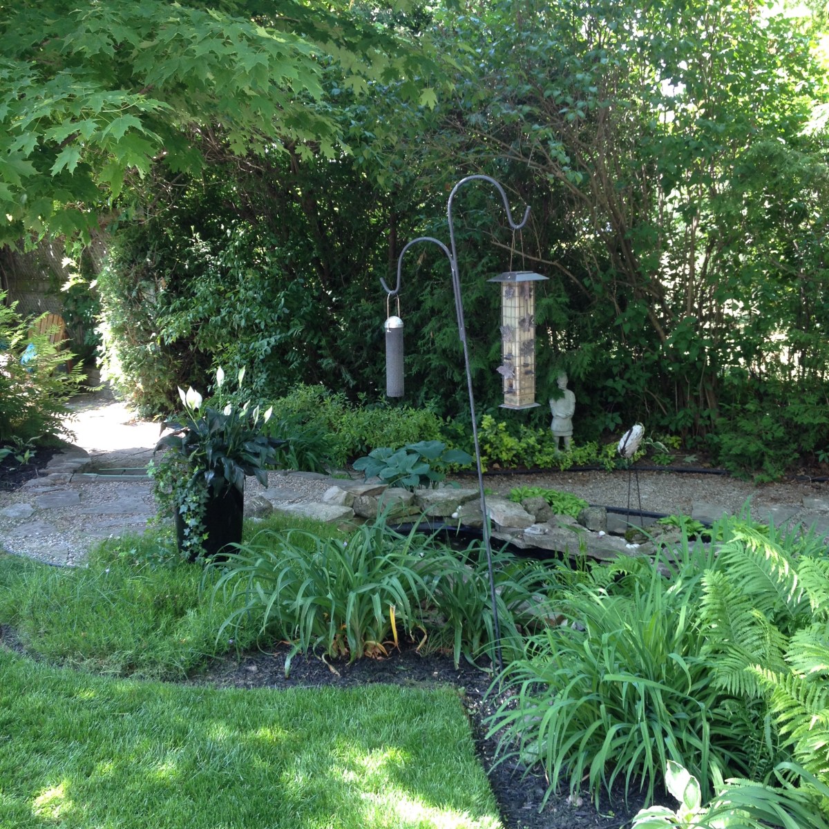 A shady garden has a water feature and pathway.