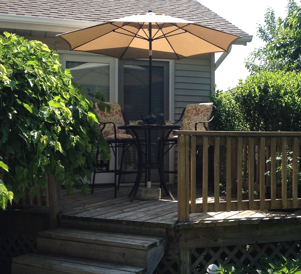 A small deck offer a viewpoint in a small garden.