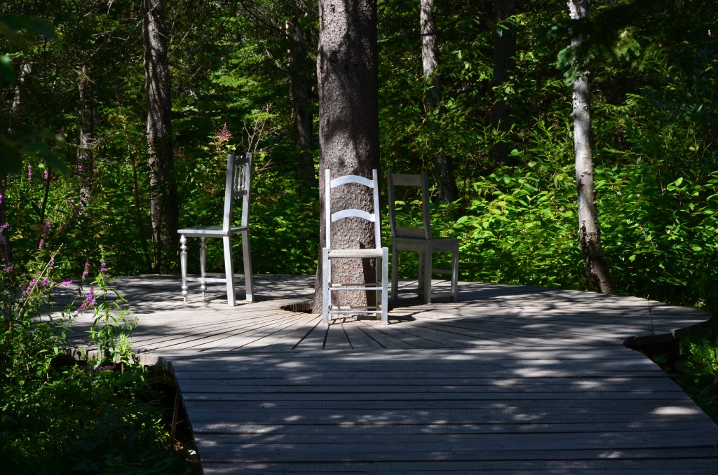 A deck built around a tree in a wooded area.
