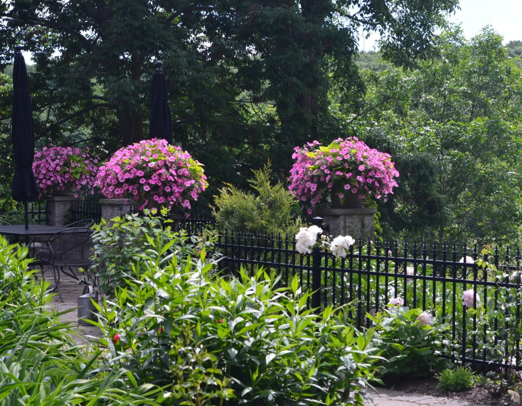 A wrought iron fence borders a seating area with floral containers