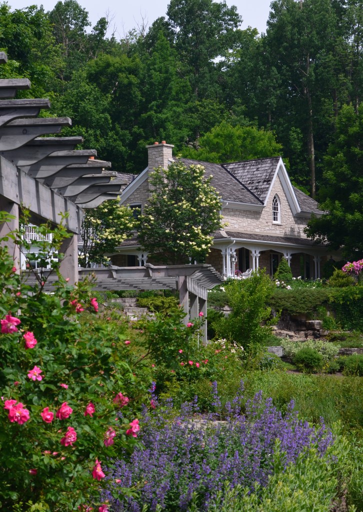 A view of two rose pergolas with a country house in the background