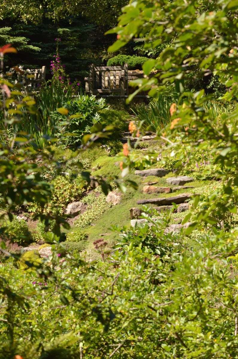 Stone steps subtly point the way to garden seating at the top of a garden on a steep slope.
