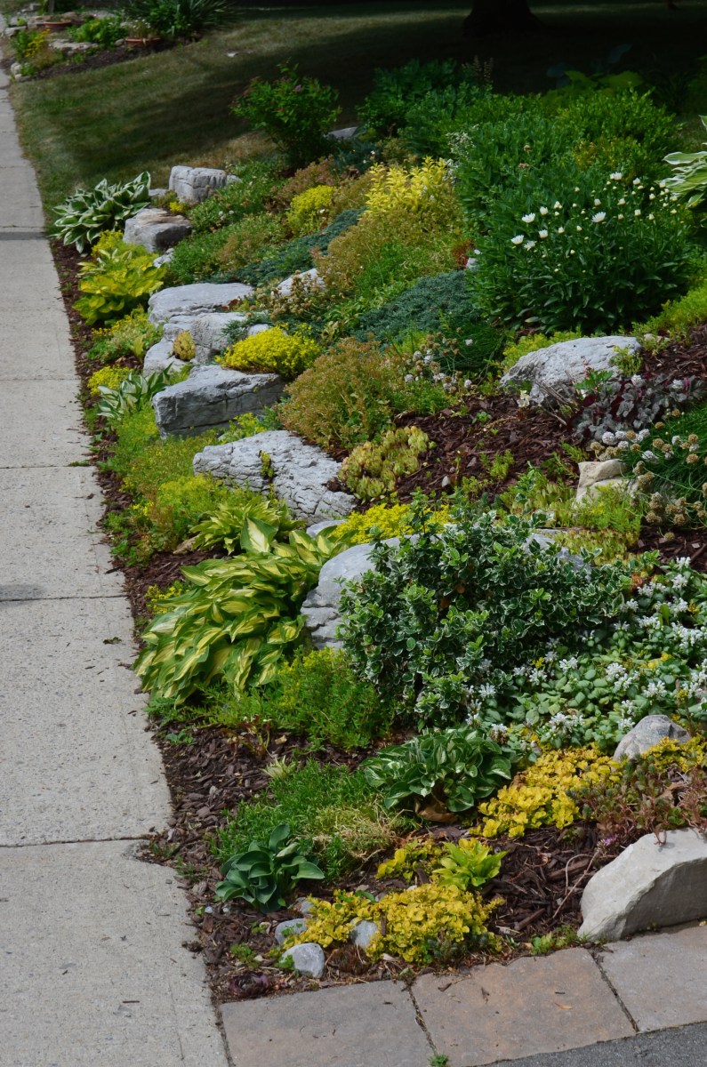 Rocks in a sloping garden bed next to a sidewalk.