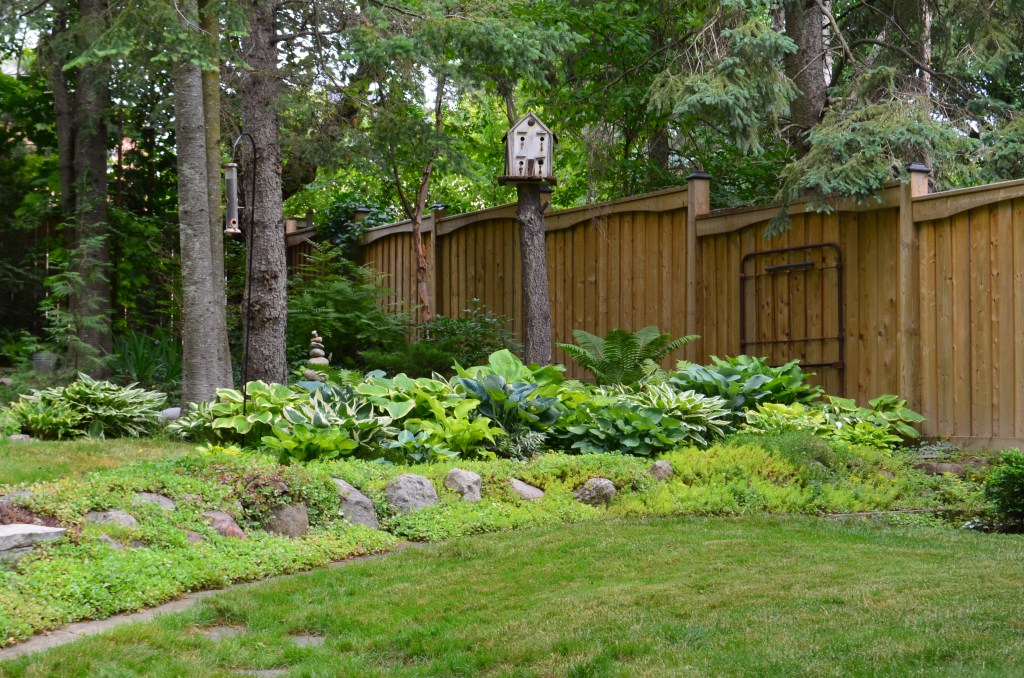 Garden design ideas in a small garden include use of lawn and rocks to make different spaces.