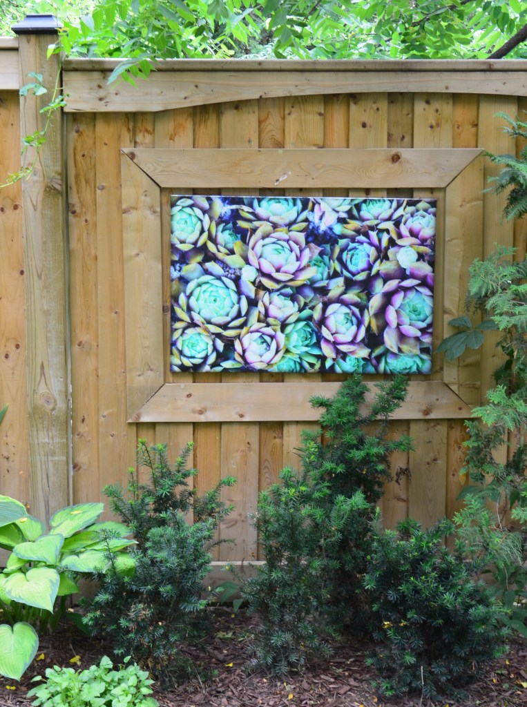 A framed photo decorates a fence in a small garden design