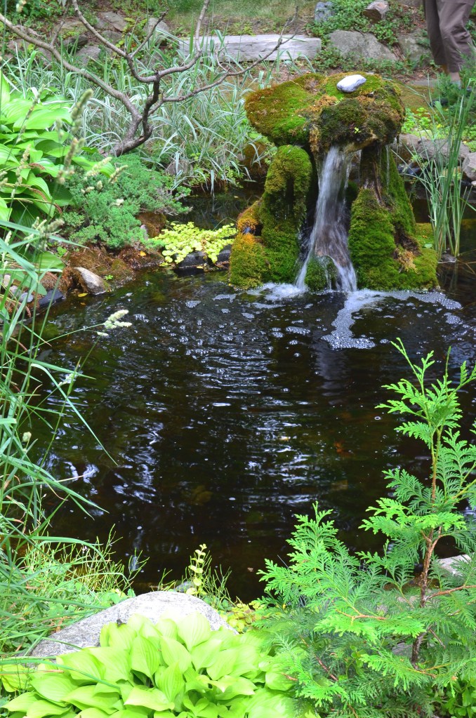 The moss covered water feature with pond in a woodland garden