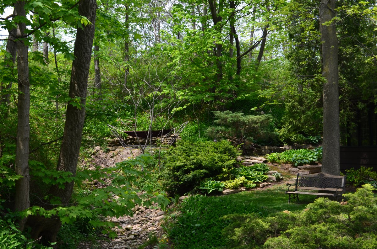 A hammock and garden bench are situated in shady spots in a garden on a hill.