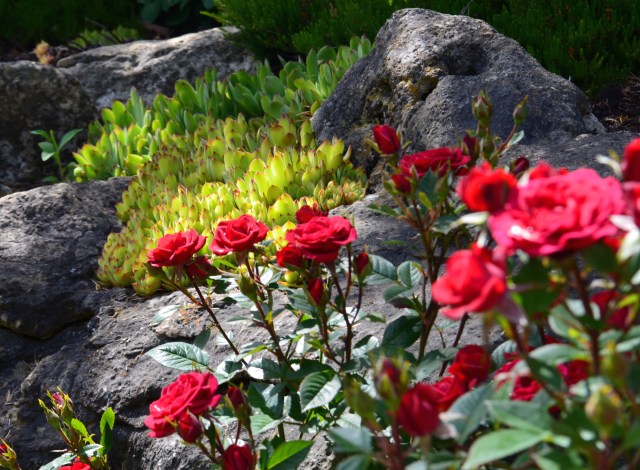 Red Rocks Flower Red Rocks For Flower Beds Rock & Mulch – Superior Landscape Curbing