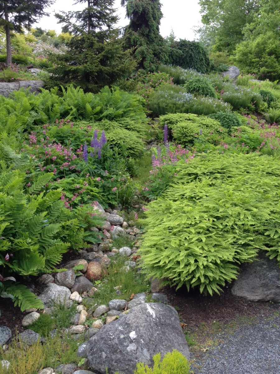 Differing rocks create an interesting addition to a garden.
