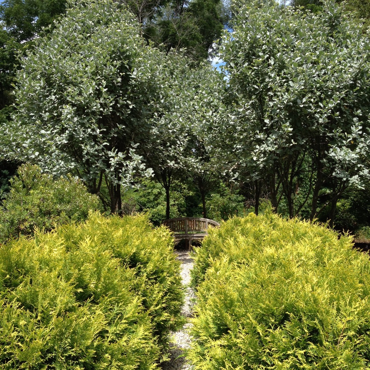 A path leads to a bench in a garden at the entrance to Lost Horizons.