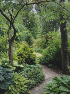 Trees, shrubs and perennials are placed in the garden at Lost Horizons to contrast in shape and colour.