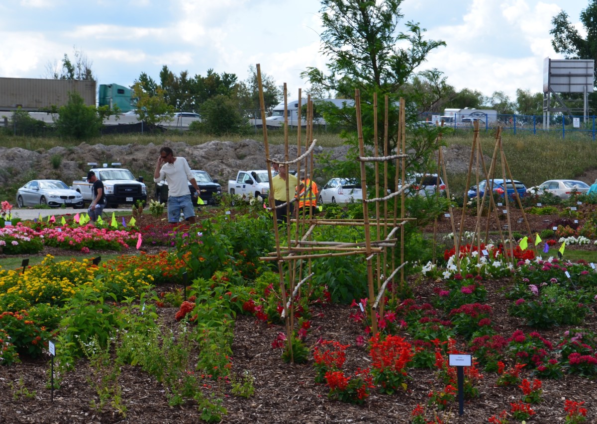 Trial gardens bordered by parking lots and highway.