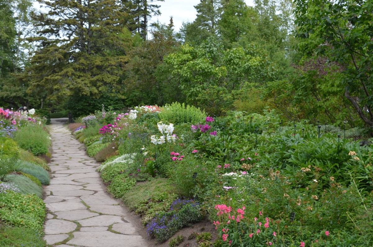 A long formal flower bed framed by forest at Reford Gardens.