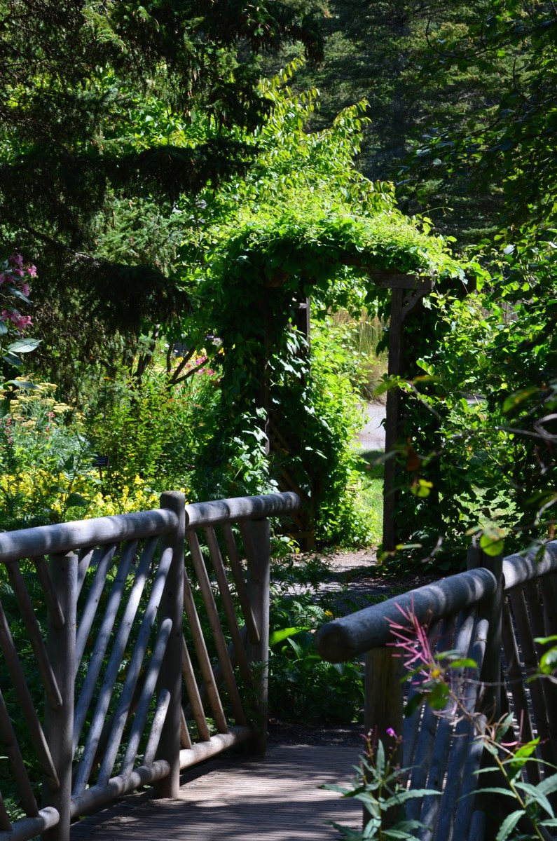 A wooden bridge and arbour showing garden design blending with nature at Reford Gardens.