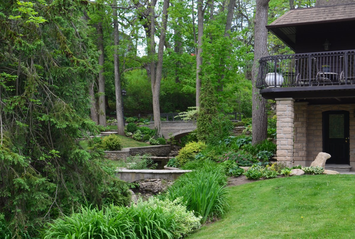 A side garden viewed to show the nature of garden design.
