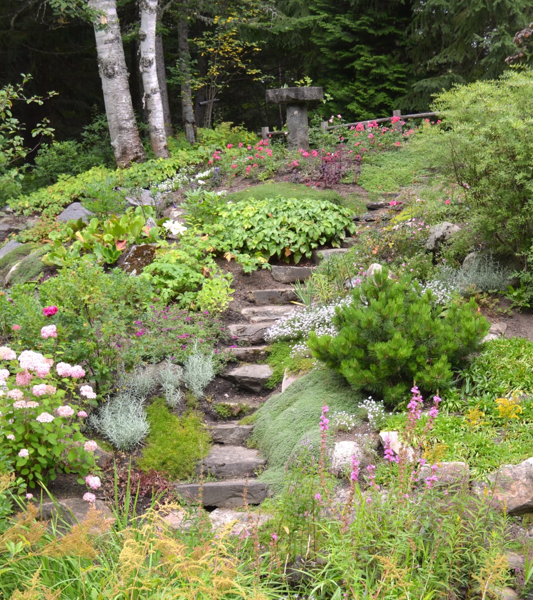An example of garden design showing a stone stairway in Reford Gardens.